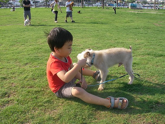 SANYO DIGITAL CAMERA